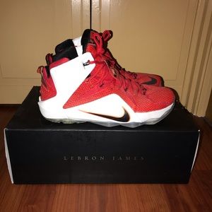 Nike LeBron XII Size 10.5 Men’s